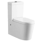 Fully Installed Celeste Back to Wall Toilet Suite