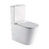 Fully Installed Rimless Apollo Back to Wall Toilet Suite **Extra Large**