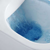 Fully Installed Rimless Apollo Back to Wall Toilet Suite **Extra Large**