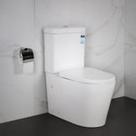 Fully Installed Celeste Back to Wall Toilet Suite