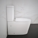 Fully Installed Celeste Back to Wall Toilet Suite