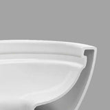 Fully Installed Rimless Apollo Back to Wall Toilet Suite **Extra Large**